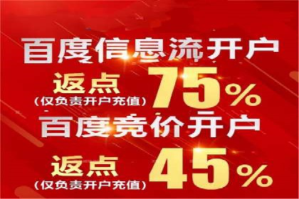 案例研究：百度竞价广告投放效果